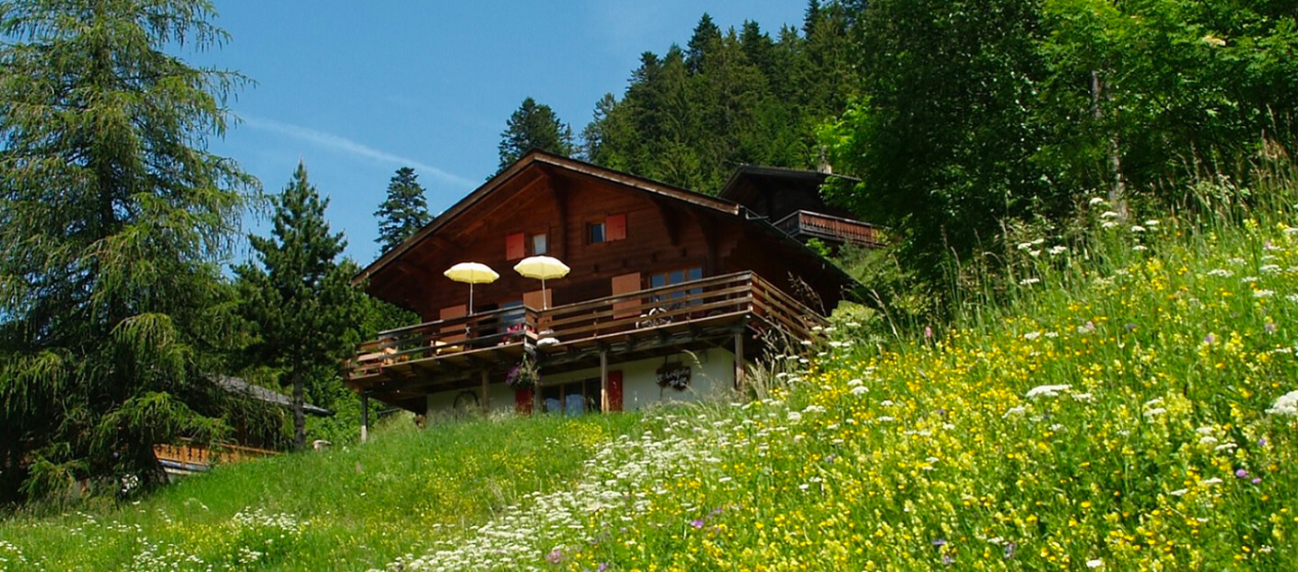 Escapade bien-être à Morgins