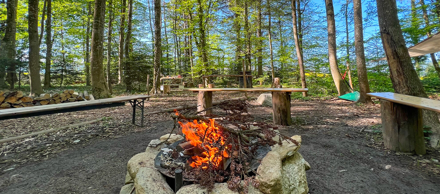 Entrées au parc Faunaventure pour 1 à 4 personnes