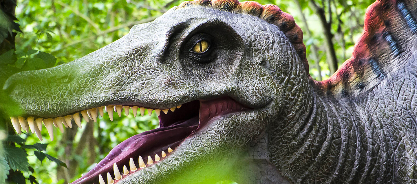Entrées au parc Dinoworld pour 1 ou 2 personnes