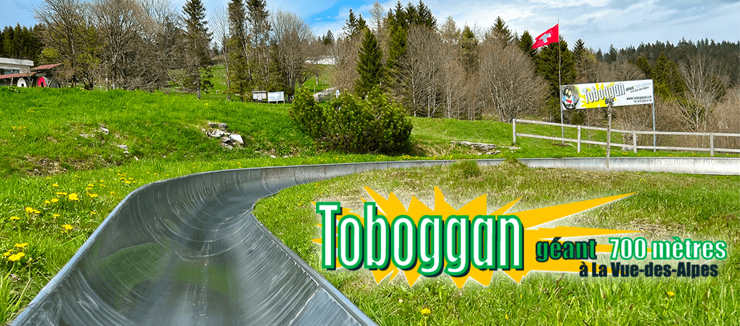 Descentes du Toboggan de la Vue-des-Alpes en luge à roulettes