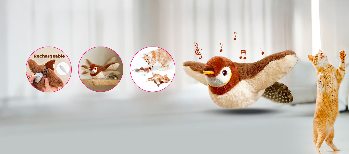 Jeu révolutionnaire oiseau volant rechargeable pour chat FLYBIRD