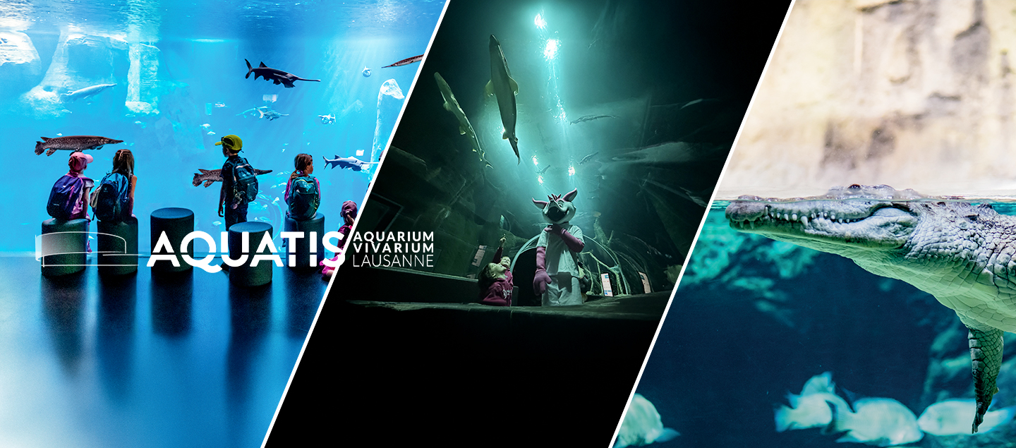 2 Entrées à Aquatis pour 1 enfant et 1 adulte (6, 13, 20  ou 27 décembre 2025)