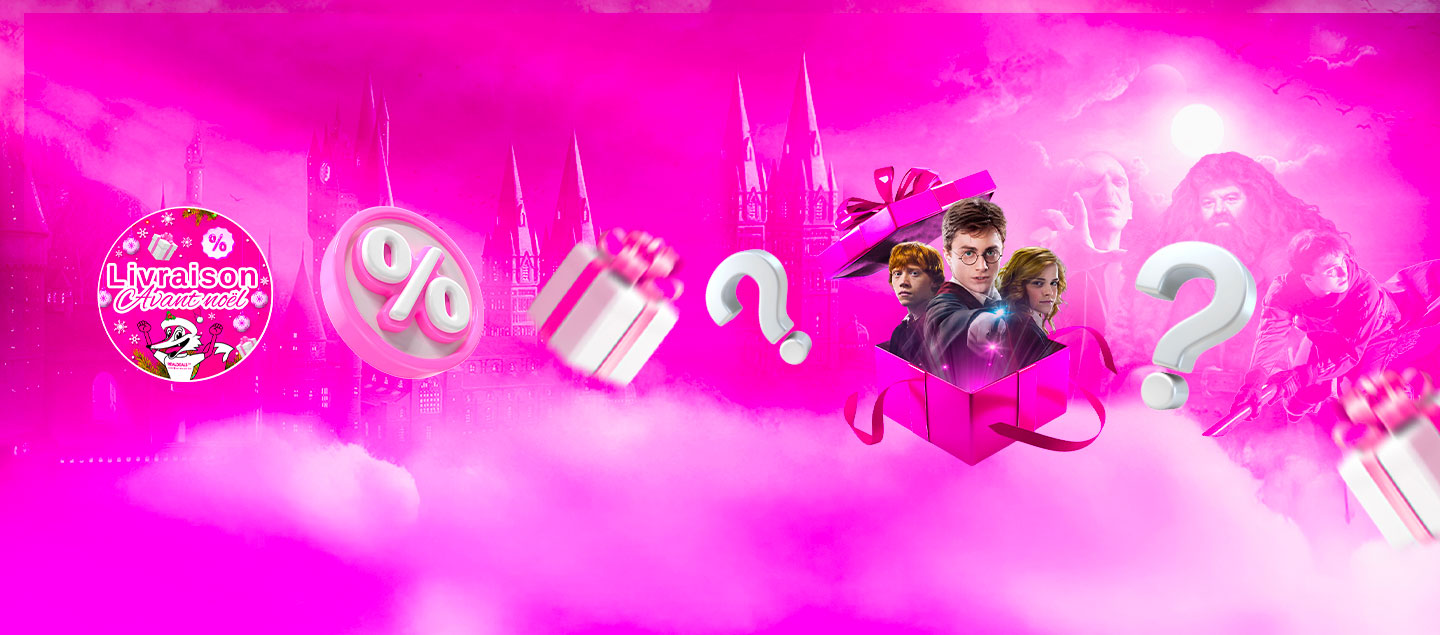 Boite Surprises 100% HARRY POTTER