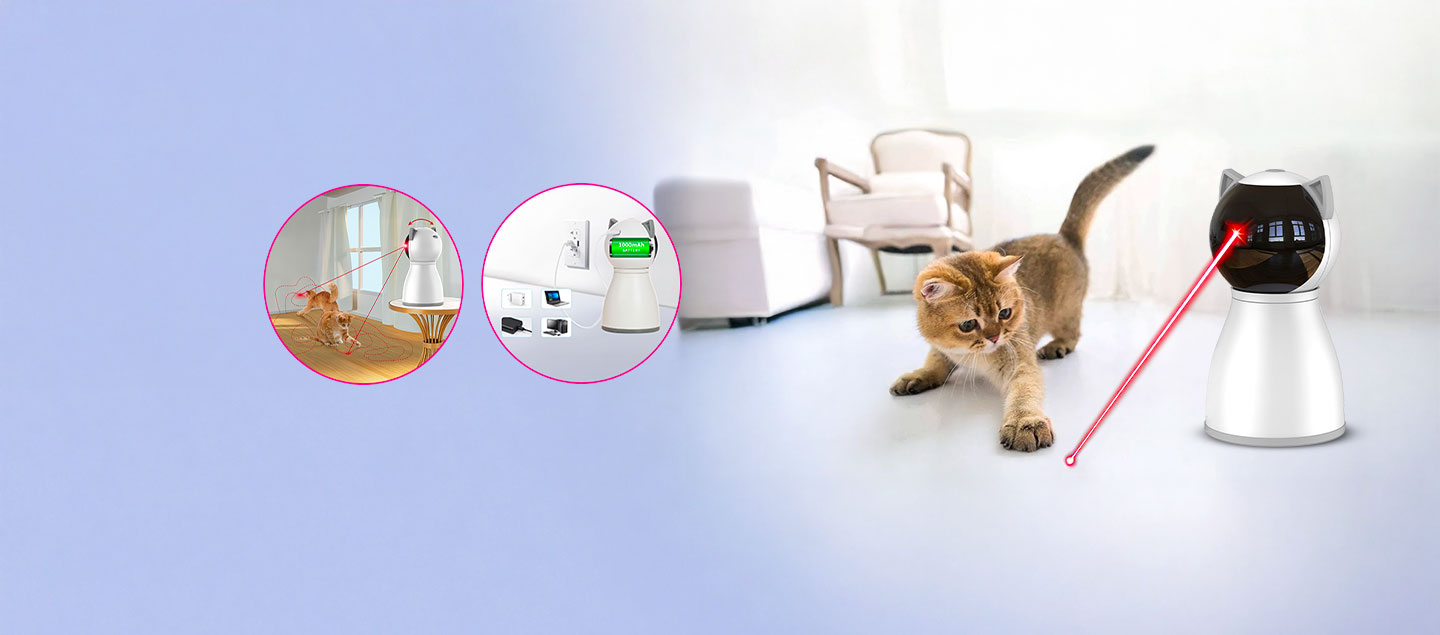 Jouet interactif pour chat avec laser lumineux PETIEPAW