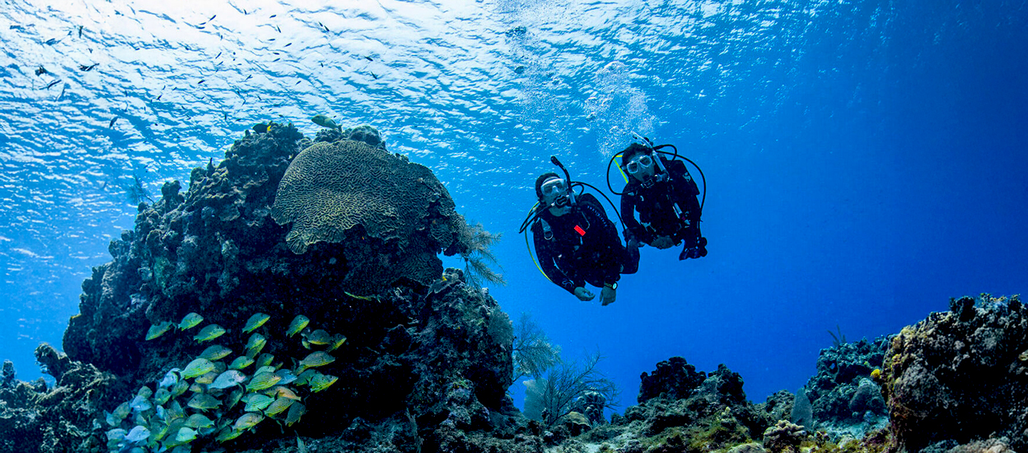 Découverte de la plongée de 45 minutes aux Gouilles de Martigny