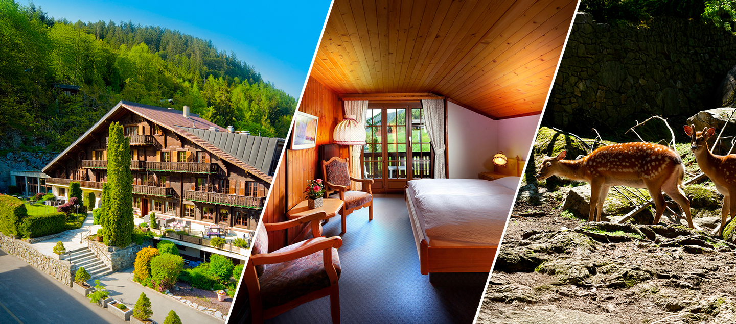 Séjour de 2 nuitées aux Marécottes avec Petit-déjeuner et avec ou sans visite au zoo des Marécottes pour 2 personnes