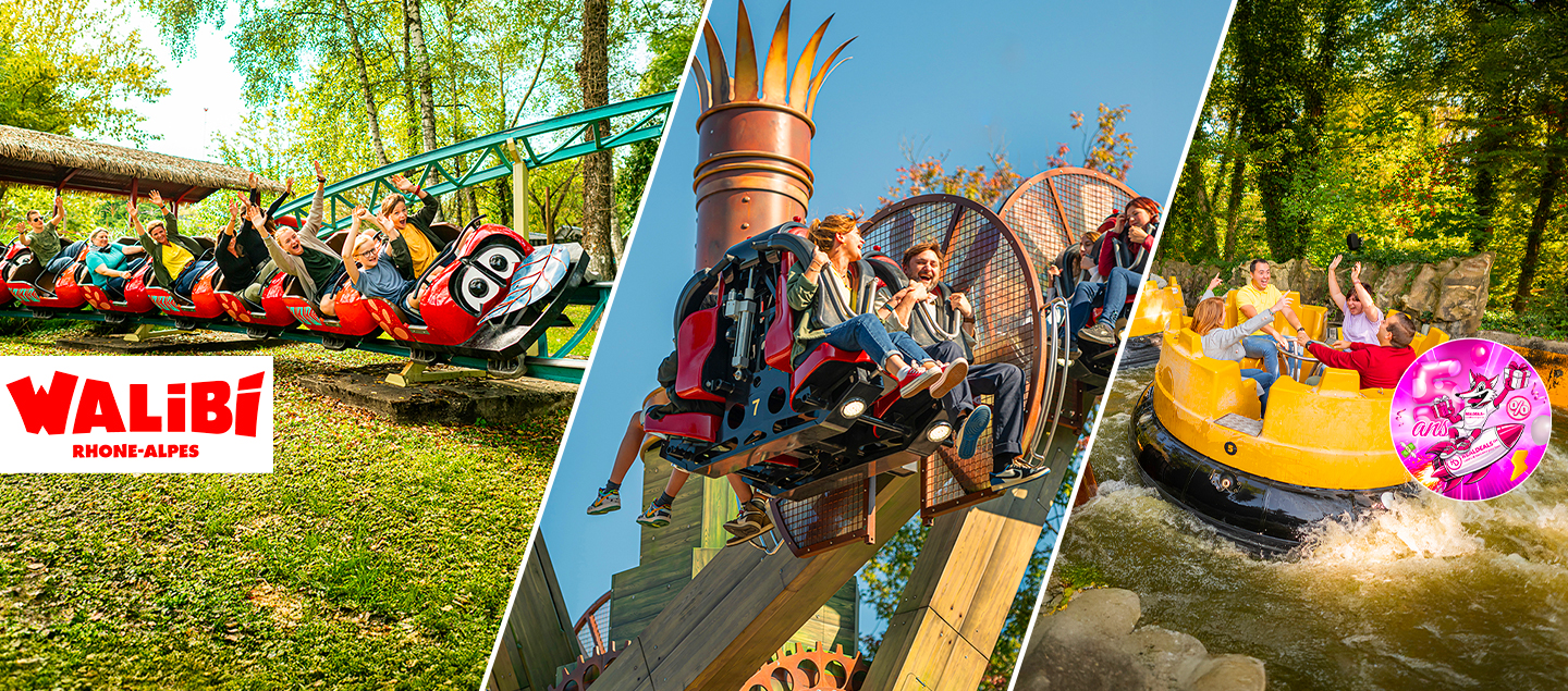 1 Entrée journalière à Walibi (enfant/adulte)