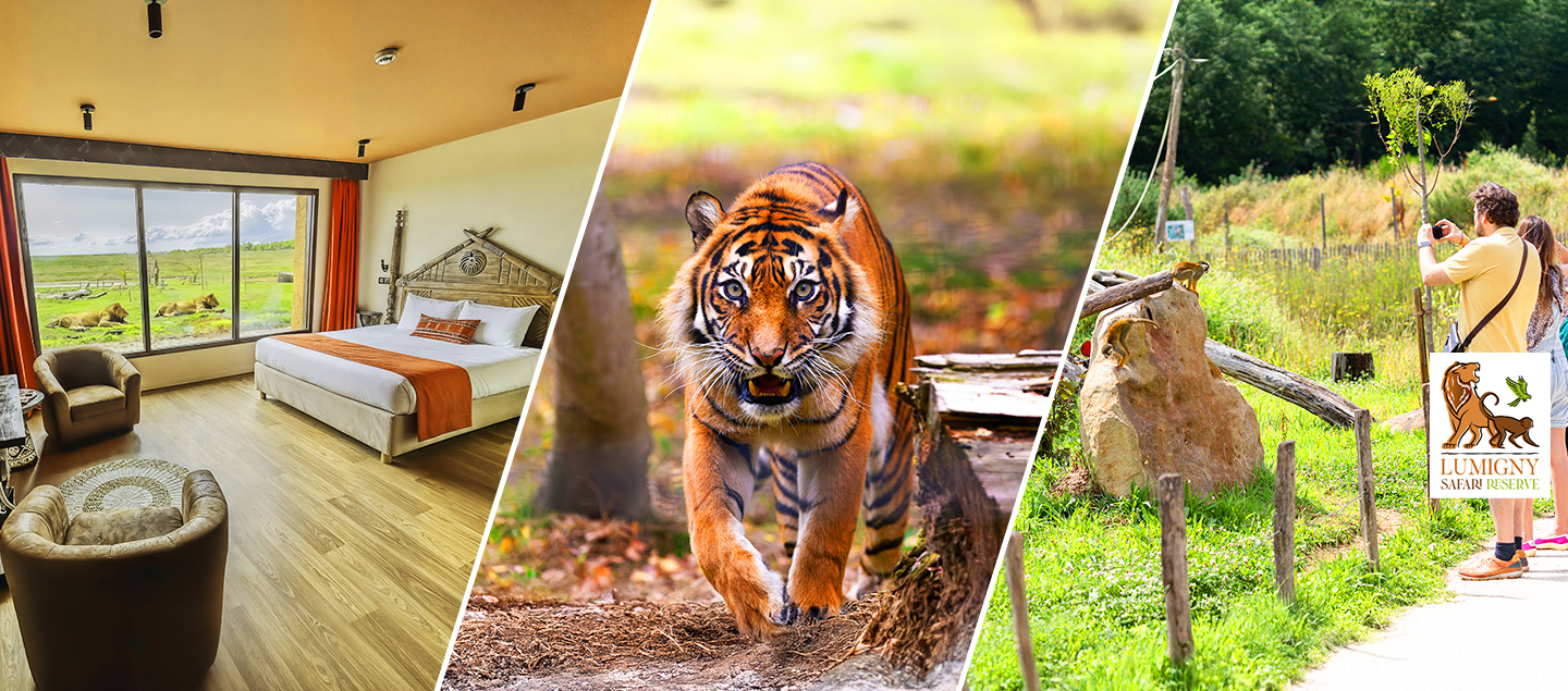 Séjour immersif à l’Hôtel Le Royaume des Lions*** avec Petit-déjeuner et Accès aux parcs Safari Reserve et Terre de Singes dès 2 personnes