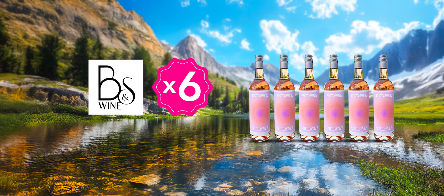 Set de 6 bouteilles de rosé BSWINE