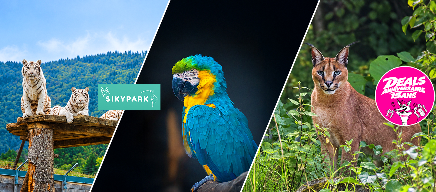 1 Entrée adulte ou enfant au Parc  Animalier SIKYPARK 