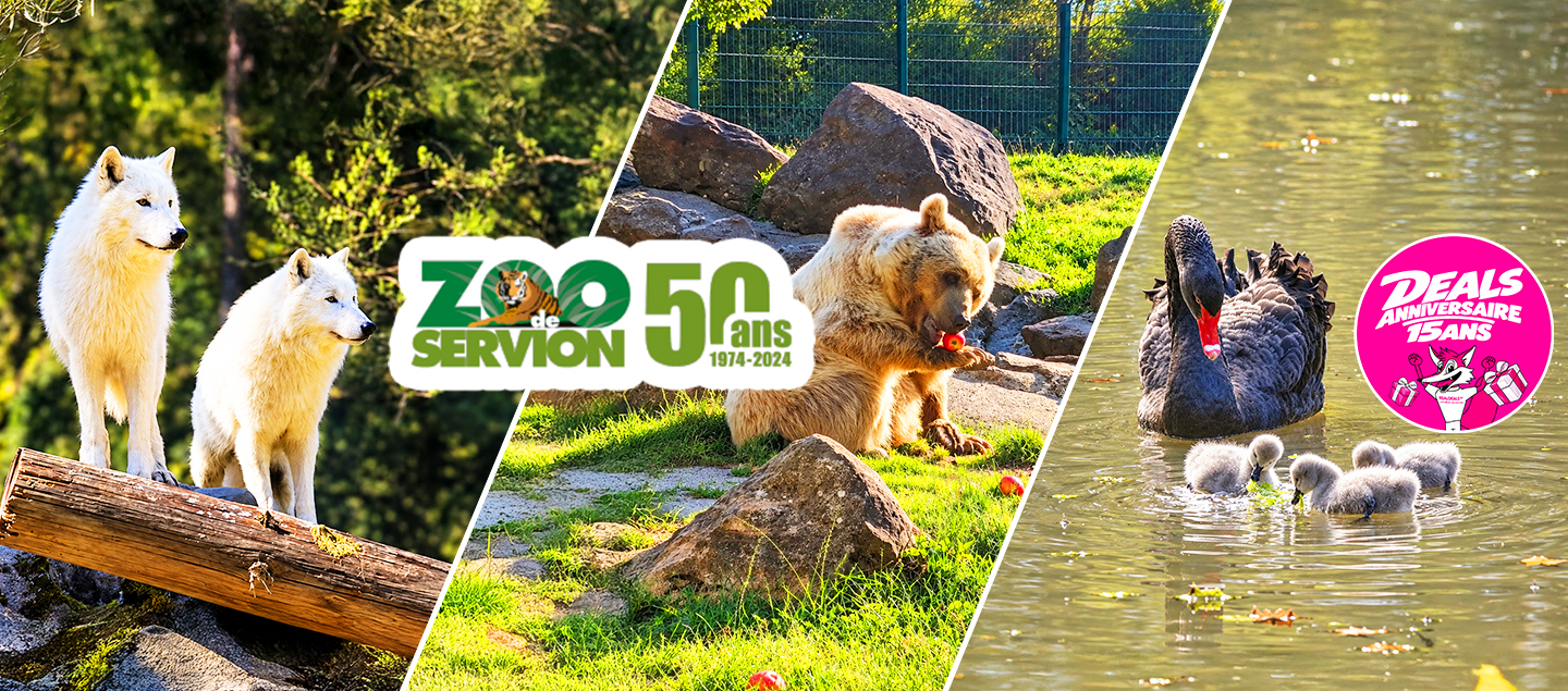 Entrée au Zoo de Servion