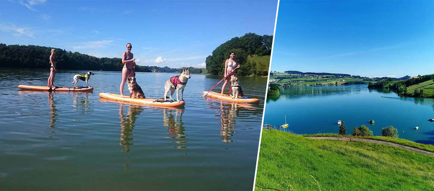 Location stand up Paddle sur le Lac de la Gruyère - 1 ou 2 personnes
