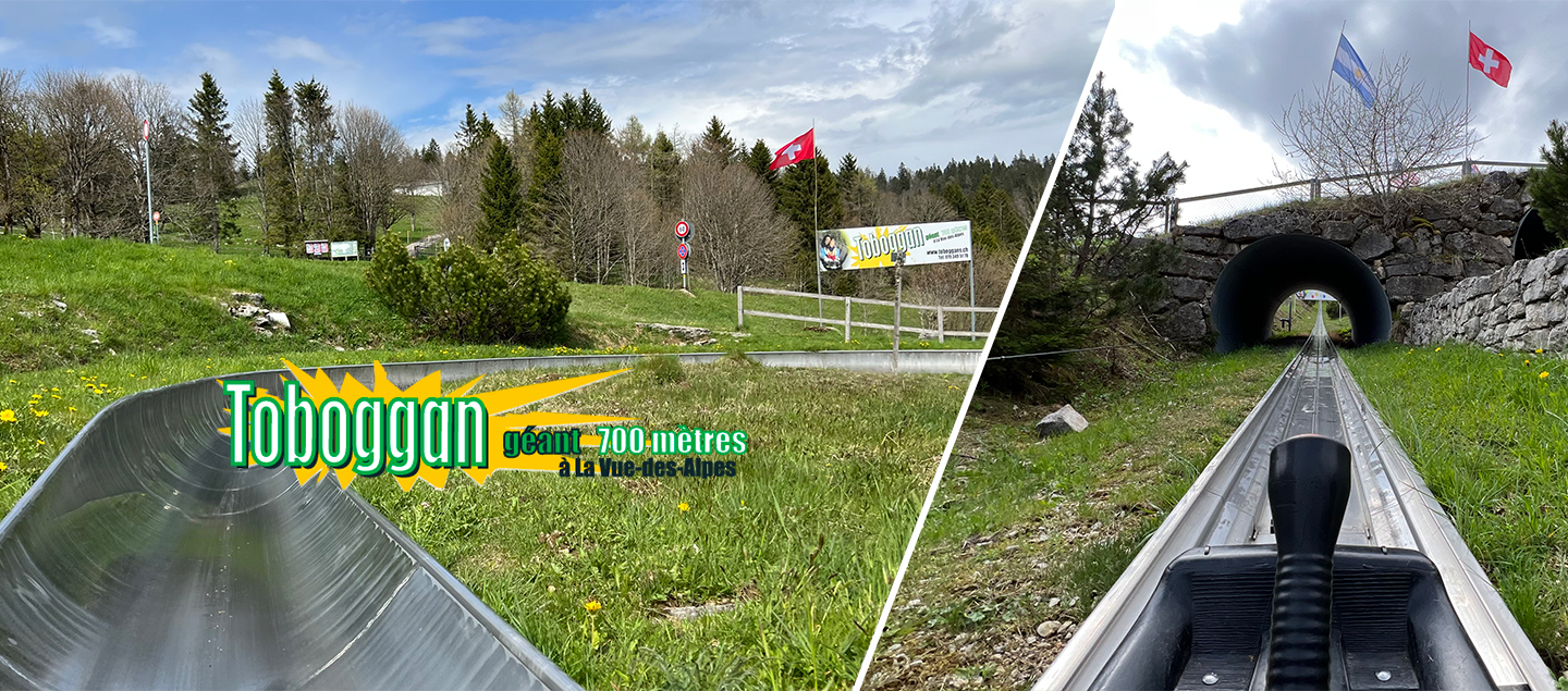 Descentes du Toboggan de la Vue-des-Alpes en luge à roulettes