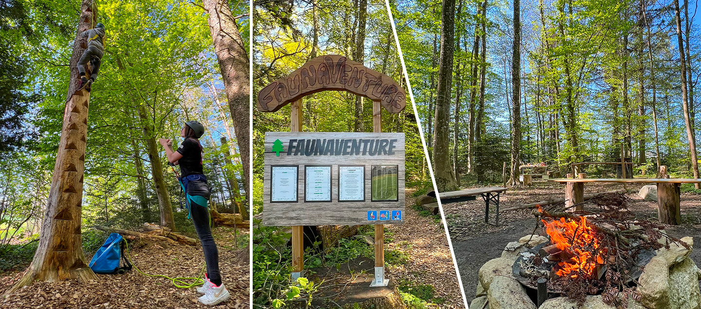 Entrées au parc Faunaventure pour 1 à 4 personnes