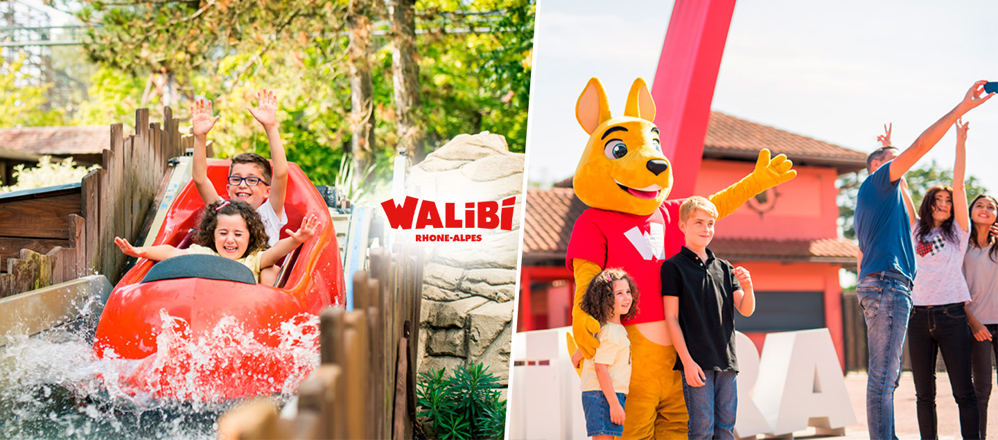 1 entrée journalière au Parc Walibi (enfant/adulte)