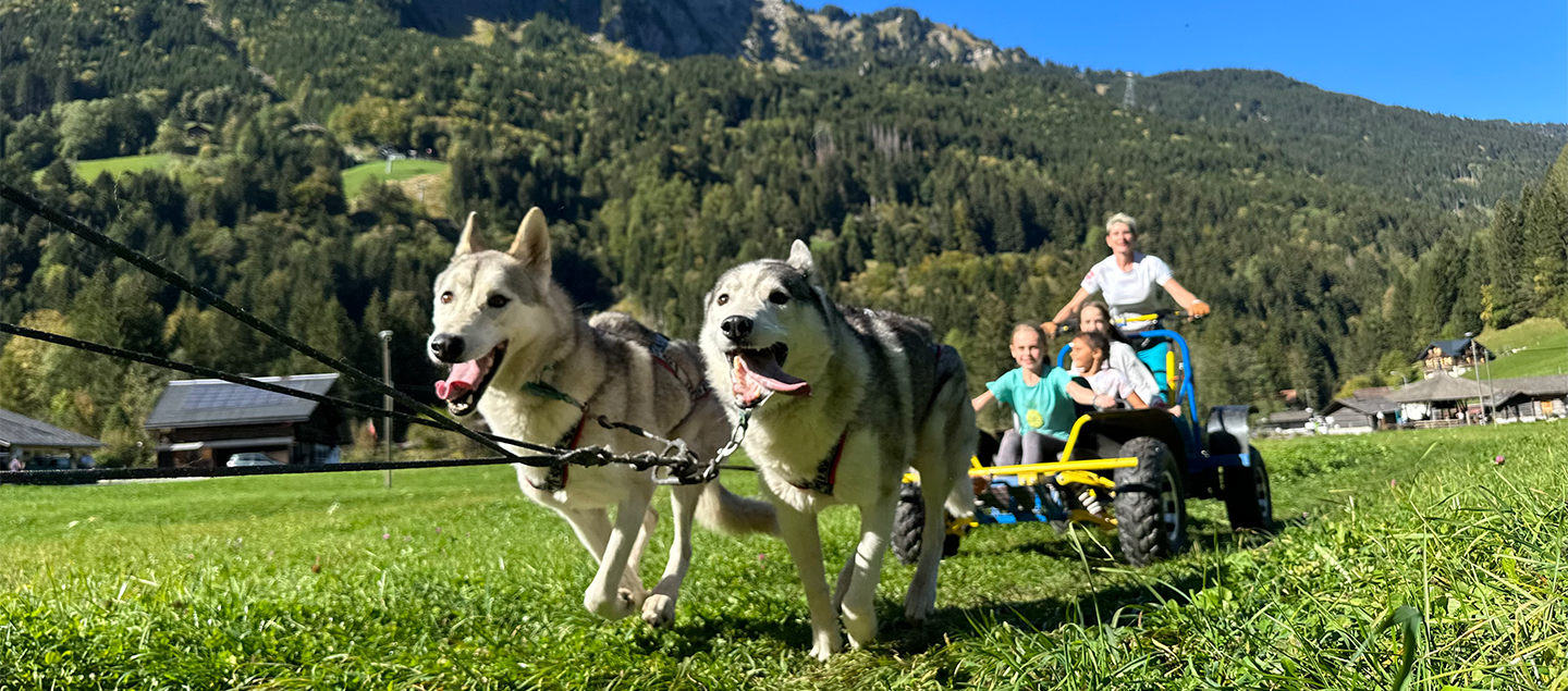 Cani'Kart Aventure à Champéry et rencontre avec les Huskies pour 2 adultes et 2 enfants