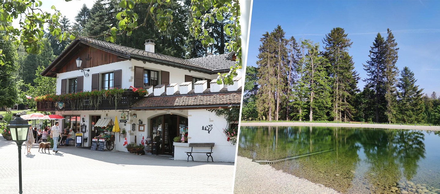 Séjour dans un Bungalow au Centre de vacances de la Cibourg pour 2 à 4 personnes