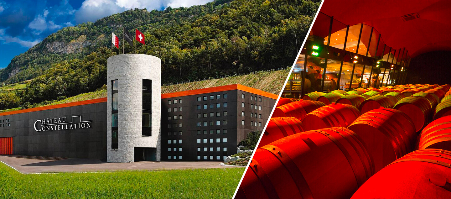 Visite d'une cave et dégustation de vins au Château Constellation à Sion avec assiette valaisanne dès 2 personnes