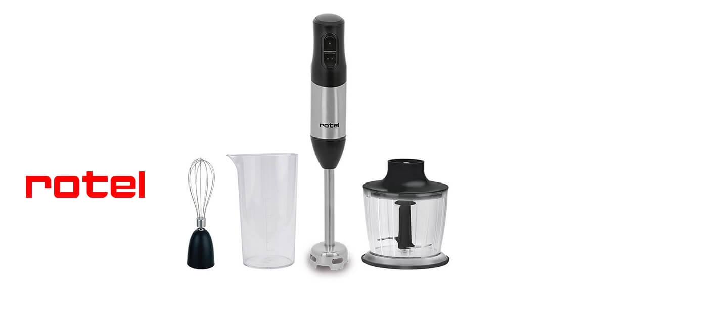 Mixeur plongeant Titan Rotel