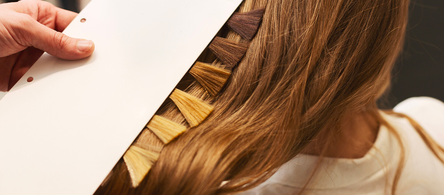 Coloration ou mèches avec Coupe et Brushing 