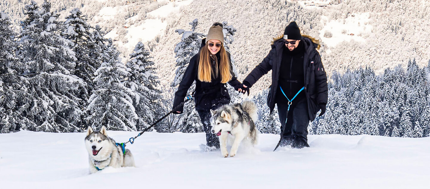 Randonnée inoubliable avec huskys