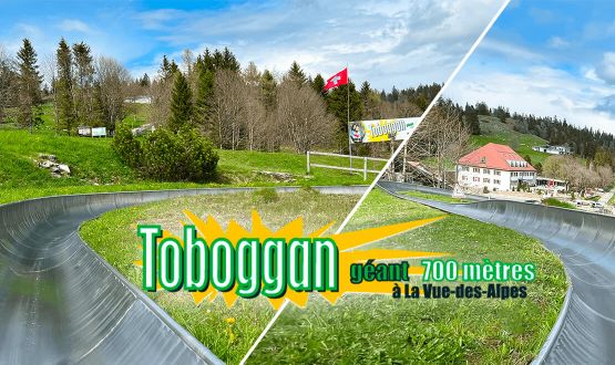 Descentes du Toboggan de la Vue-des-Alpes en luge à roulettes