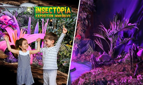 1 Entrée à l'exposition Insectopia