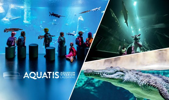 2 Entrées à Aquatis pour 1 enfant et 1 adulte (6, 13, 20  ou 27 décembre 2025)