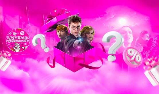 Boite Surprises 100% HARRY POTTER