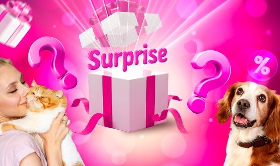 Boite Surprises 100% Animaux - Chat ou Chien
