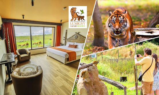Séjour immersif à l’Hôtel Le Royaume des Lions*** avec Petit-déjeuner et Accès aux parcs Safari Reserve et Terre de Singes dès 2 personnes