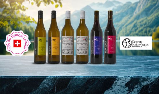 Carton découverte Domaine Badoux-Parisod de la région Lavaux (4 vins blancs, 2 vins rouges)