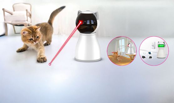 Jouet interactif pour chat avec laser lumineux PETIEPAW