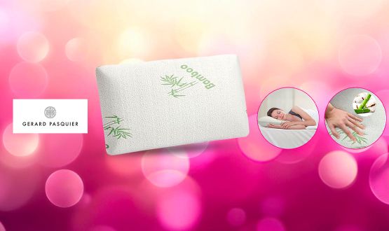 Oreiller ergonomique VISCO avec mousse à mémoire de forme GERARD PASQUIER