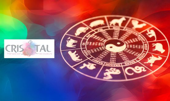 1 séance d'Astrologie chinoise de 60 minutes