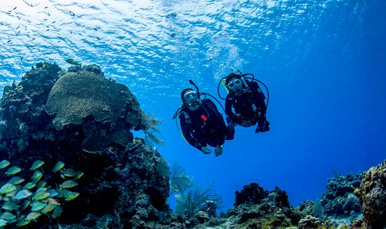 Découverte de la plongée de 45 minutes aux Gouilles de Martigny