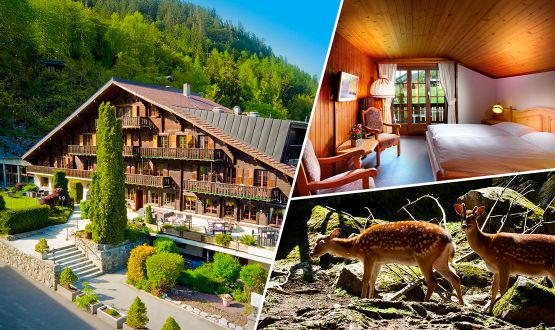 Séjour de 2 nuitées aux Marécottes avec Petit-déjeuner et avec ou sans visite au zoo des Marécottes pour 2 personnes