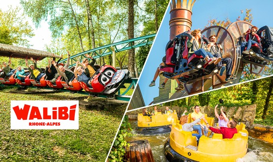 1 Entrée journalière à Walibi (enfant/adulte)