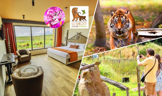 Séjour immersif à l’Hôtel Le Royaume des Lions*** avec Petit-déjeuner et Accès aux parcs Safari Reserve et Terre de Singes dès 2 personnes