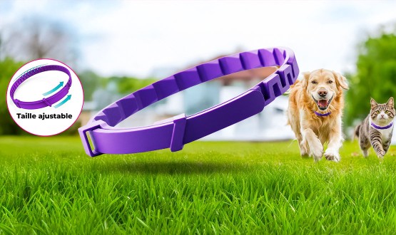 Collier apaisant révolutionnaire et magique pour chien ou chat