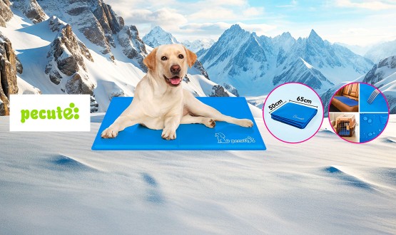 Tapis rafraichissant pour animaux PECUTE