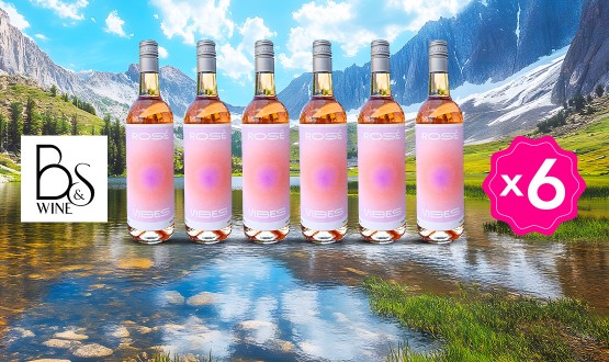Set de 6 bouteilles de rosé BSWINE
