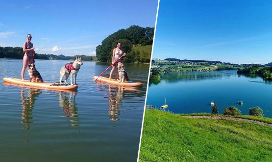 Location stand up Paddle sur le Lac de la Gruyère - 1 ou 2 personnes