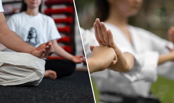 Cours hebdomadaires de Méditation Évolutive et Taï Chi en groupe ou individuel au choix