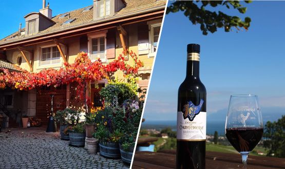 Repas accord mets et vins au Restaurant viticole du Domaine de Chantemerle avec Apéritif offert dès 2 personnes