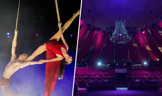 Entrée(s) adulte ou enfant au Cirque "La Magie de Noël" (23 décembre 2023 au 6 janvier 2024)