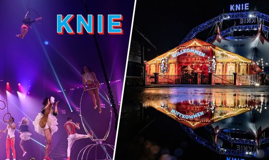 Entrée au Cirque Knie à Lausanne (le Mercredi 11 octobre 2023 à 20h00)