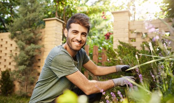 Prestations Jardinage (arrosage, entretien, ramassage) - 1, 3 ou 5 heures
