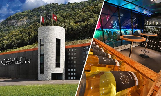 Visite d'une cave et Dégustation de 8 vins au Château Constellation à Sion avec Assiette valaisanne dès 2 personnes