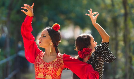 Cours privé de Flamenco et de Danse Sévillane